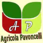 logo Avon Celli